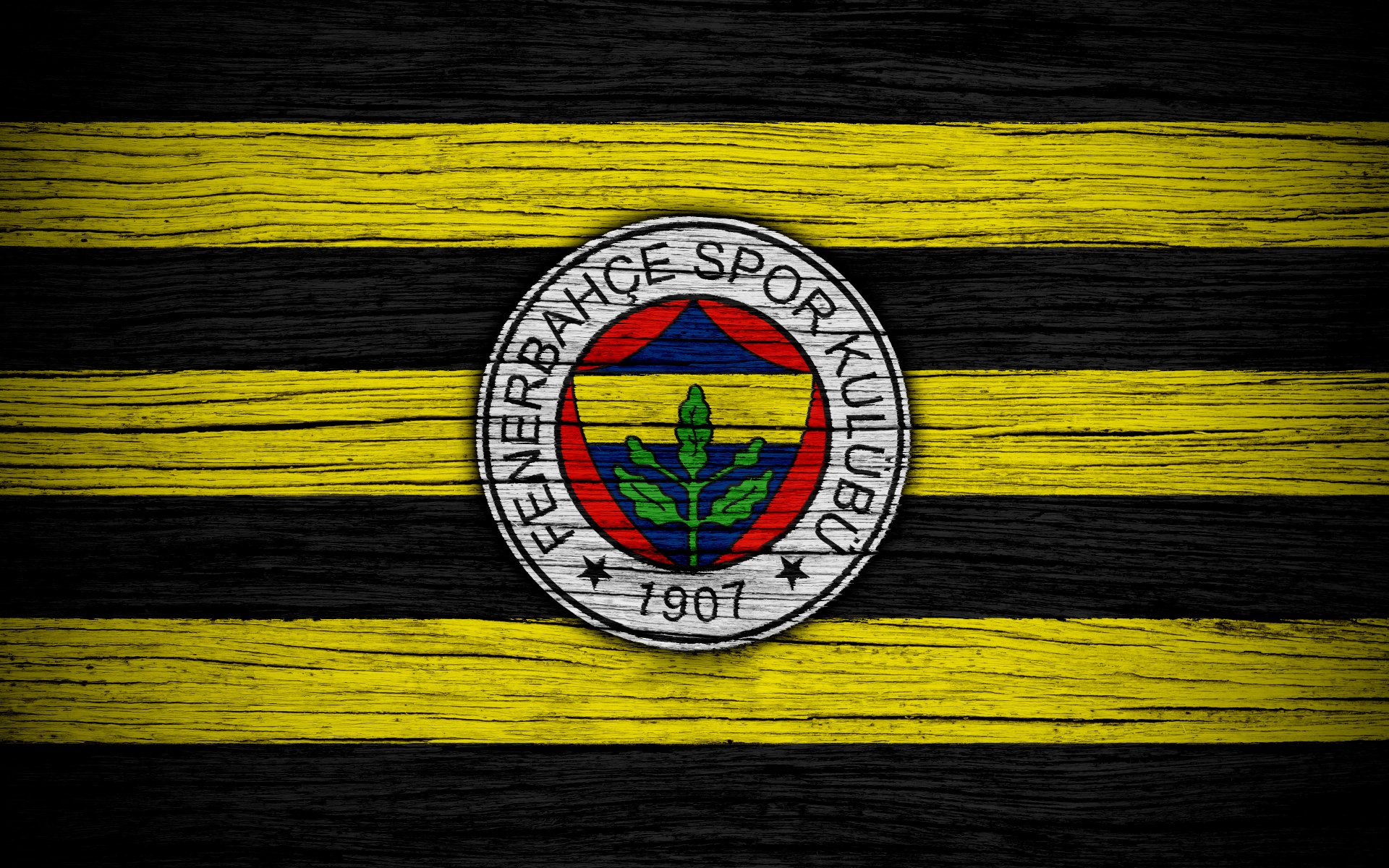 Fenerbahçe S.K. HD Wallpaper and Background Image