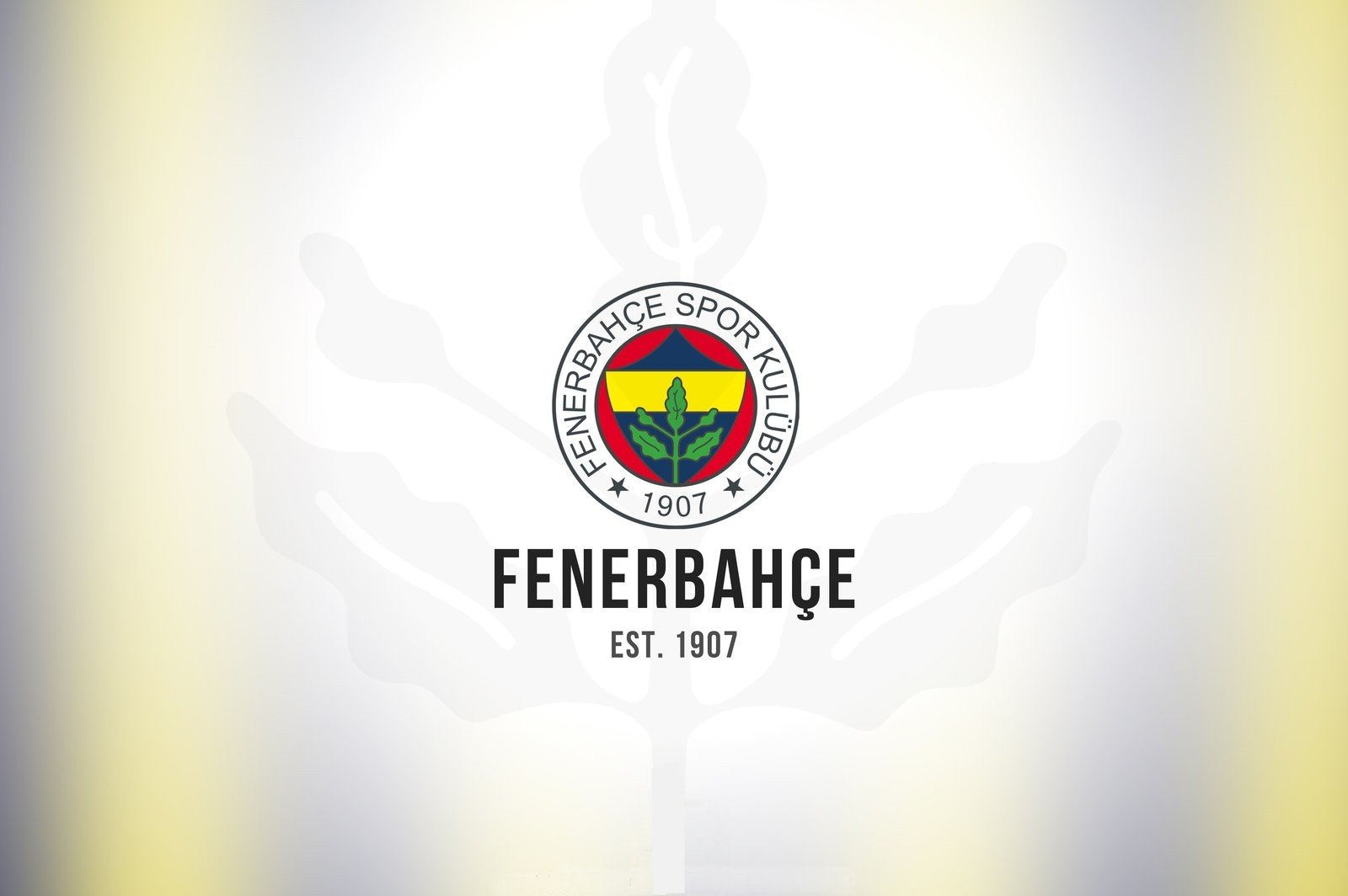 team, Fenerbahçe, Sports club HD Wallpaper / Desktop and Mobile Image & Photo