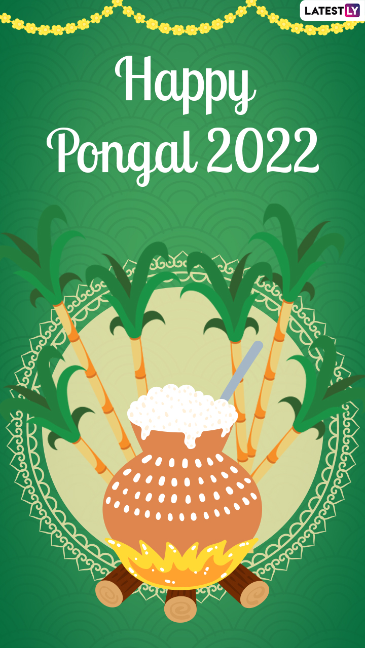 Happy Pongal 2022: Image, Wallpaper, Greetings, Wishes and Messages For Loved Ones!