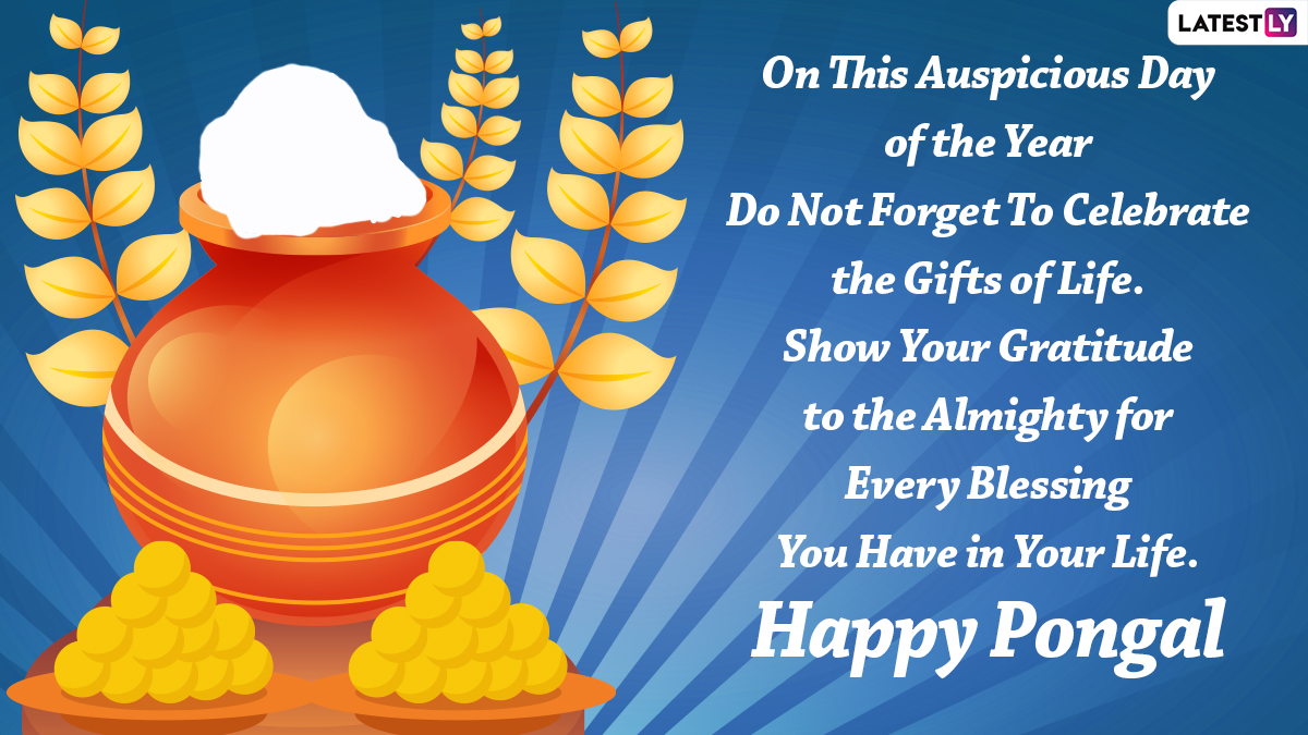 Thai Pongal 2022 Greetings & WhatsApp Status Video: Send Iniya Pongal Valthukkal Image, Messages, Quotes, Wallpaper & SMS To Celebrate This Harvest Festival!