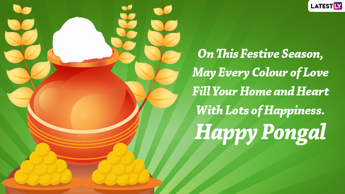 Thai Pongal 2022 Greetings & WhatsApp Status Video: Send Iniya Pongal Valthukkal Image, Messages, Quotes, Wallpaper & SMS To Celebrate This Harvest Festival!