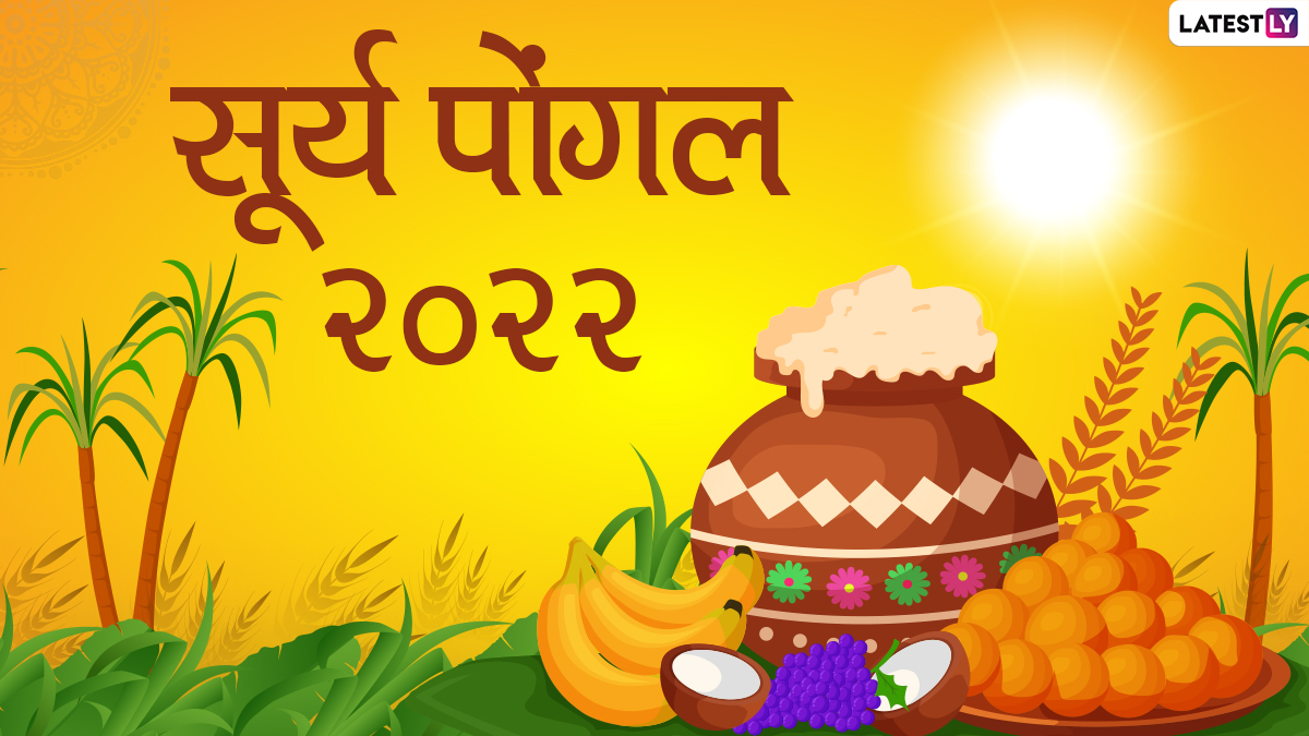 Surya Pongal 2022 HD Image: To wish your loved ones on Surya Pongal, share these Hindi WhatsApp Wishes, GIF Greetings and Wallpaper