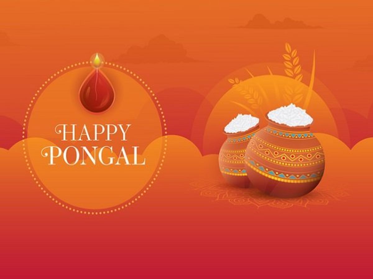Pongal 2022 date and other details: All you need to know about the festival