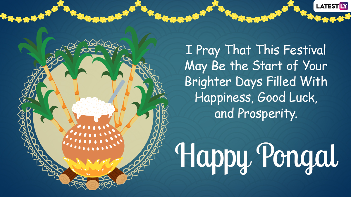 Happy Pongal 2022 Image & Thai Pongal HD Wallpaper for Free Download Online: Send Iniya Pongal Valthukkal Messages, Greetings and WhatsApp Stickers to Loved Ones