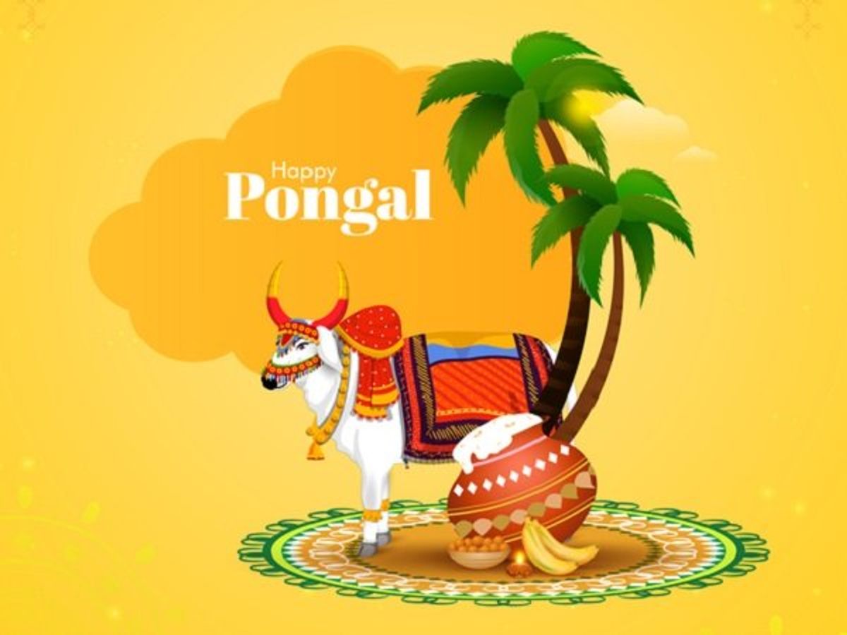 Happy Pongal 2022 wishes, image, quotes in Tamil, messages, Facebook and WhatsApp status