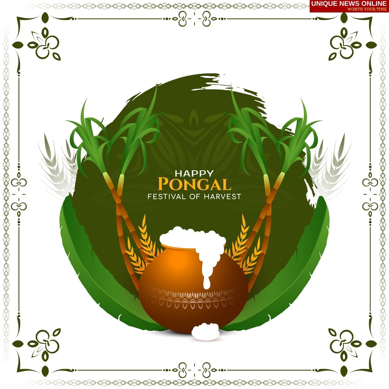 Pongal 2022 Wishes, Quotes, HD Image, Messages, Sayings, Greetings to share