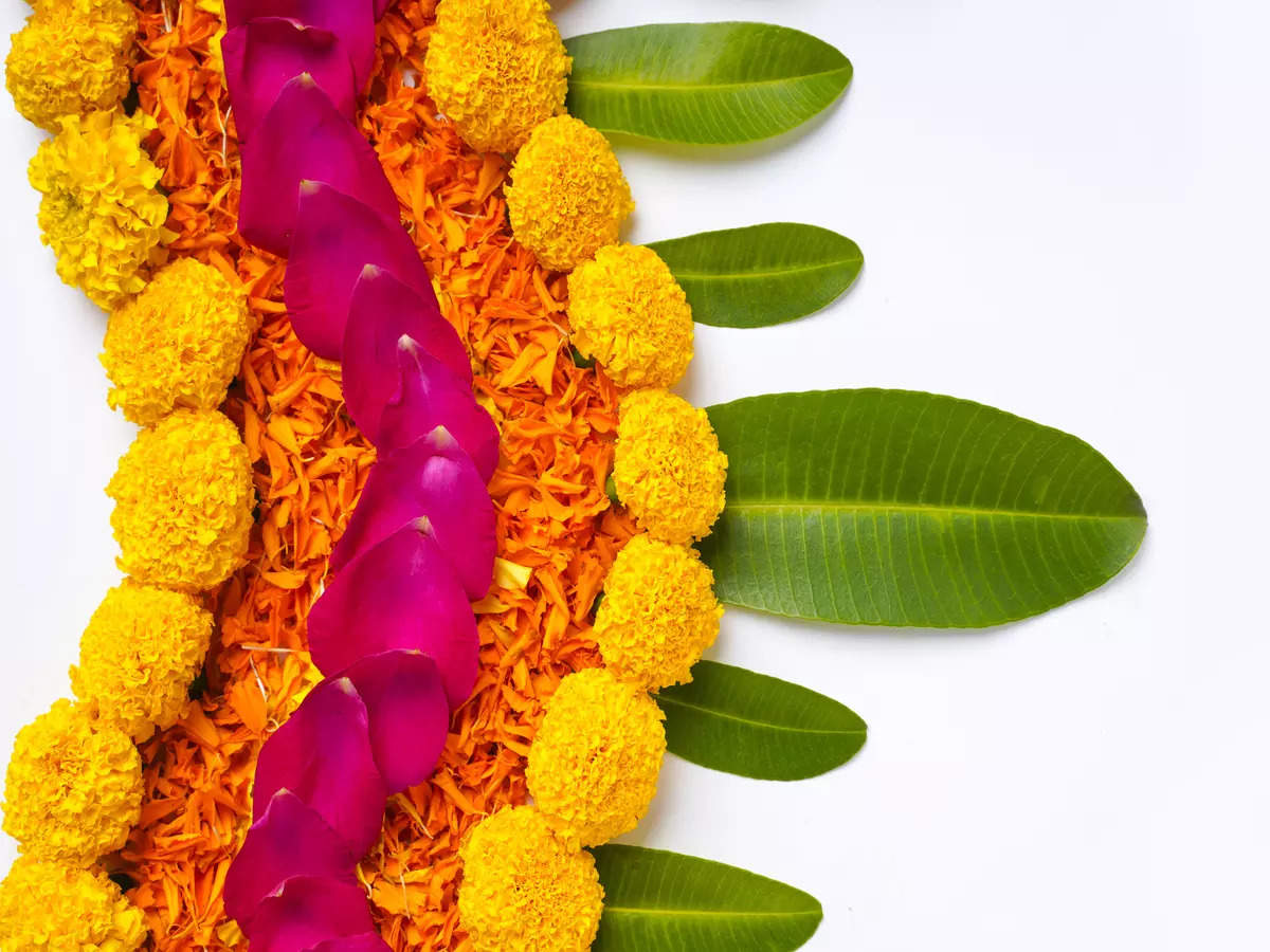 Happy Pongal 2022: Wishes, Messages, Quotes, Image, Facebook & Whatsapp status of India