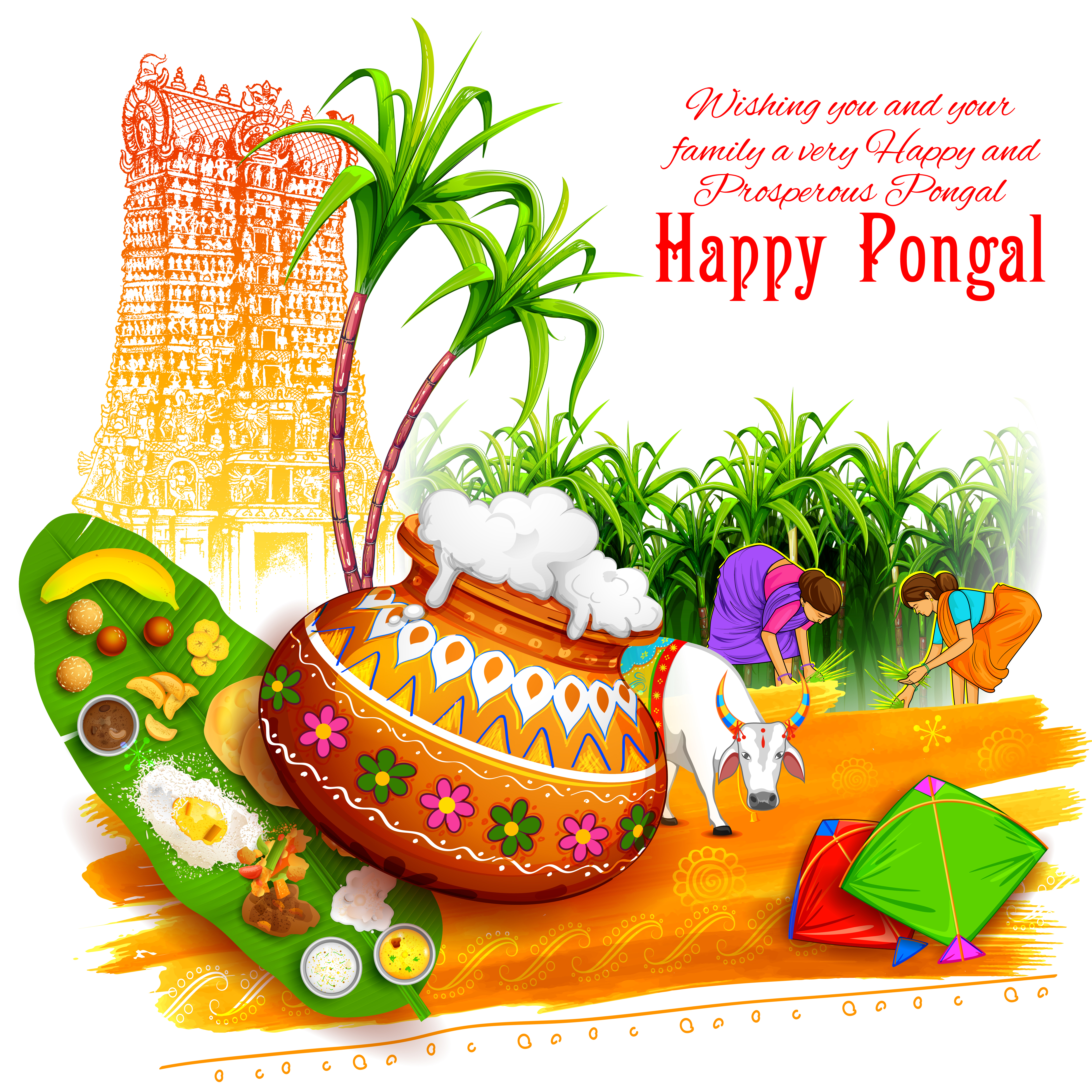 Happy Pongal 2022: Wishes, Image, Status, Quotes, Messages and WhatsApp Greetings to Share in English and Tamil
