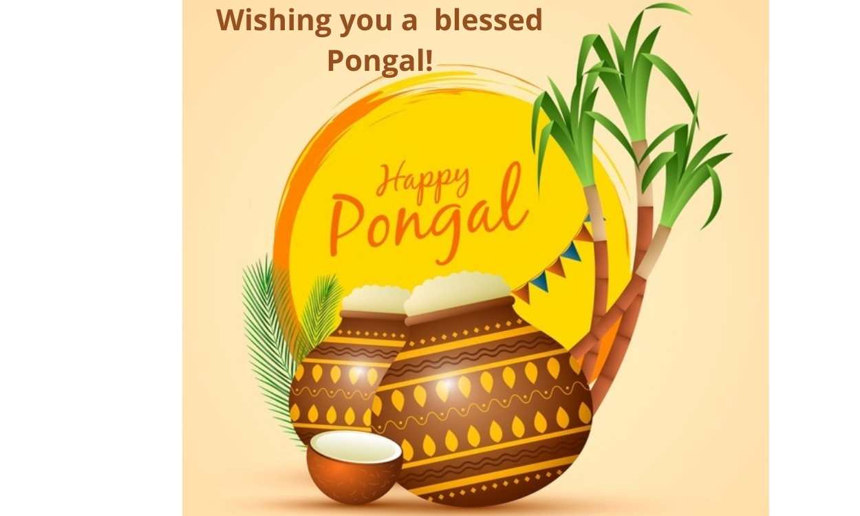 Pongal 2022: Date, History, Customs, Traditions, Food & Culture