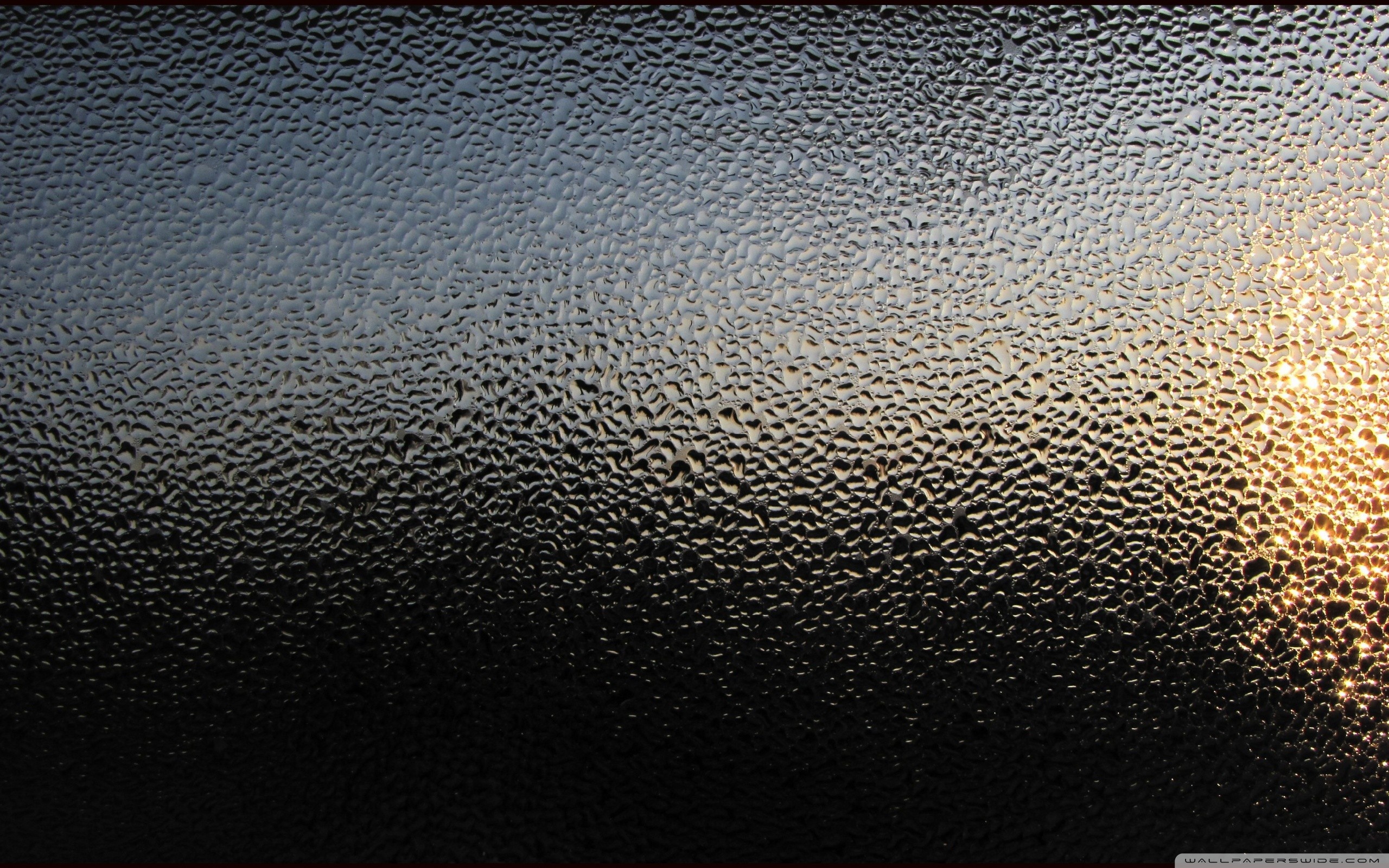 Condensation Wallpaper