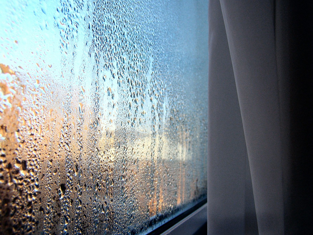 Condensation On Window