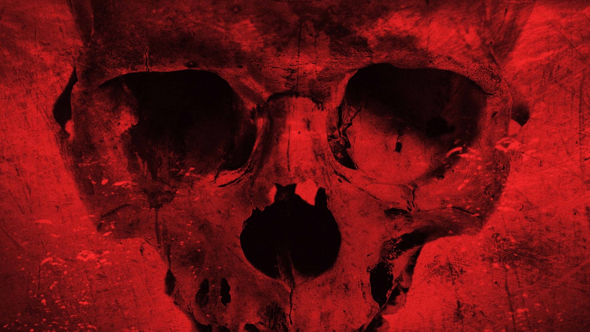 Cabin Fever: Patient Zero HD Wallpaper and Background Image