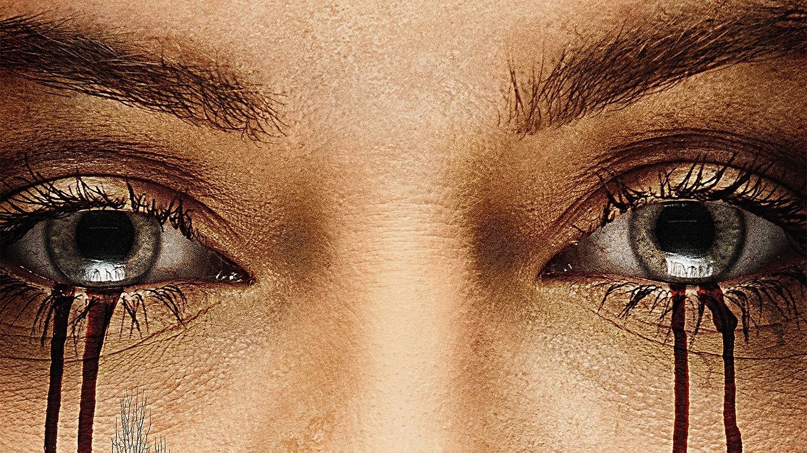 Cabin Fever HD Wallpaper and Background Image