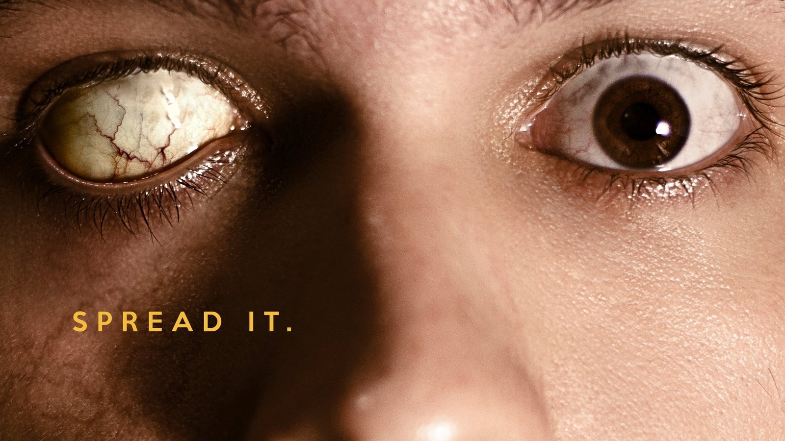 Cabin Fever Wallpaper and Background Imagex900