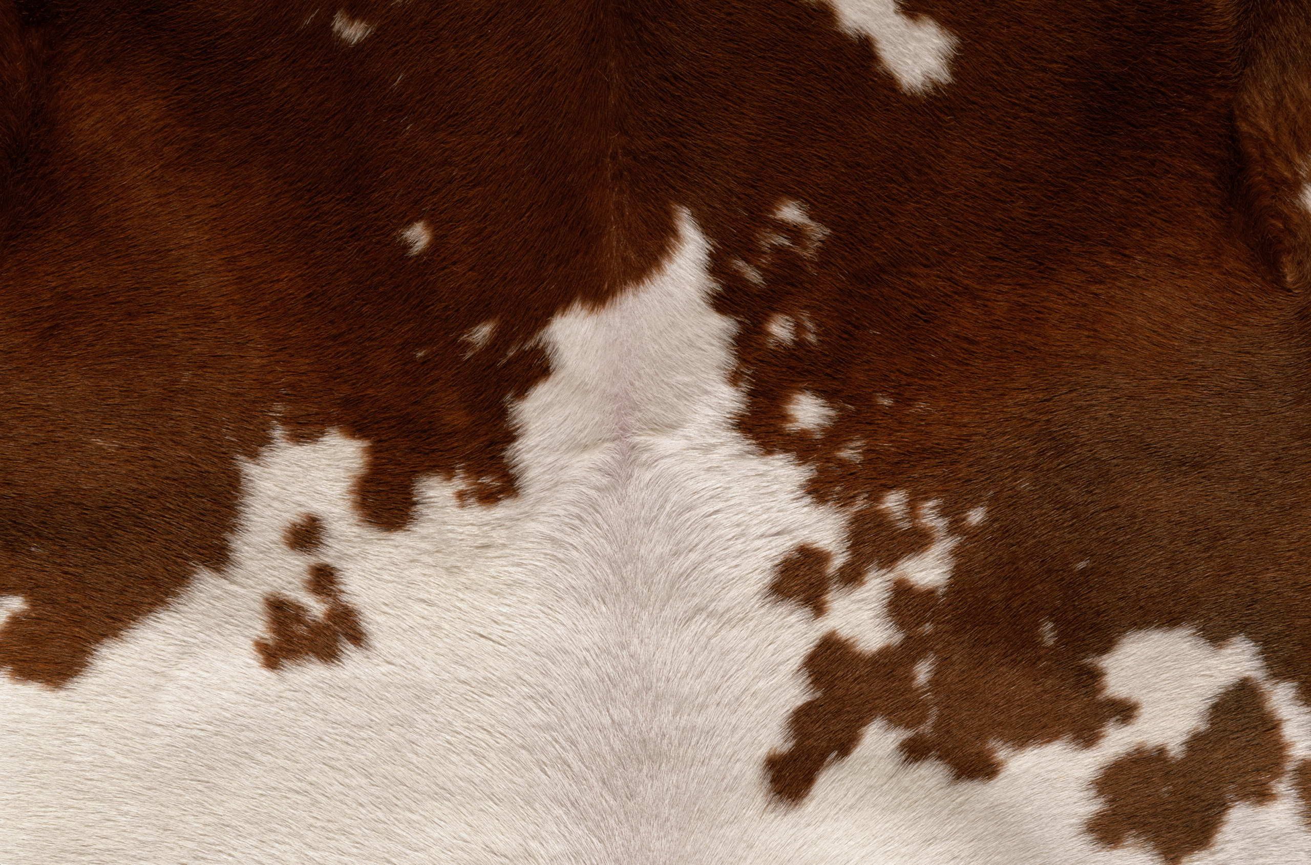 YOU COW. Brown cowhide, Cow fur, Animal print rug