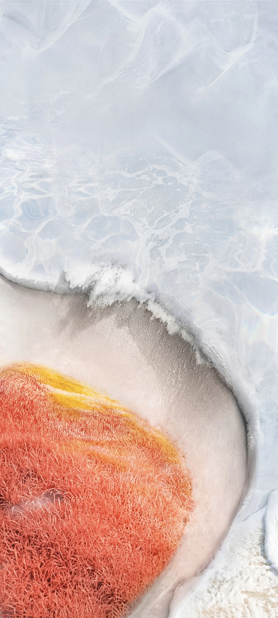 Vivo S12 Pro wallpaper