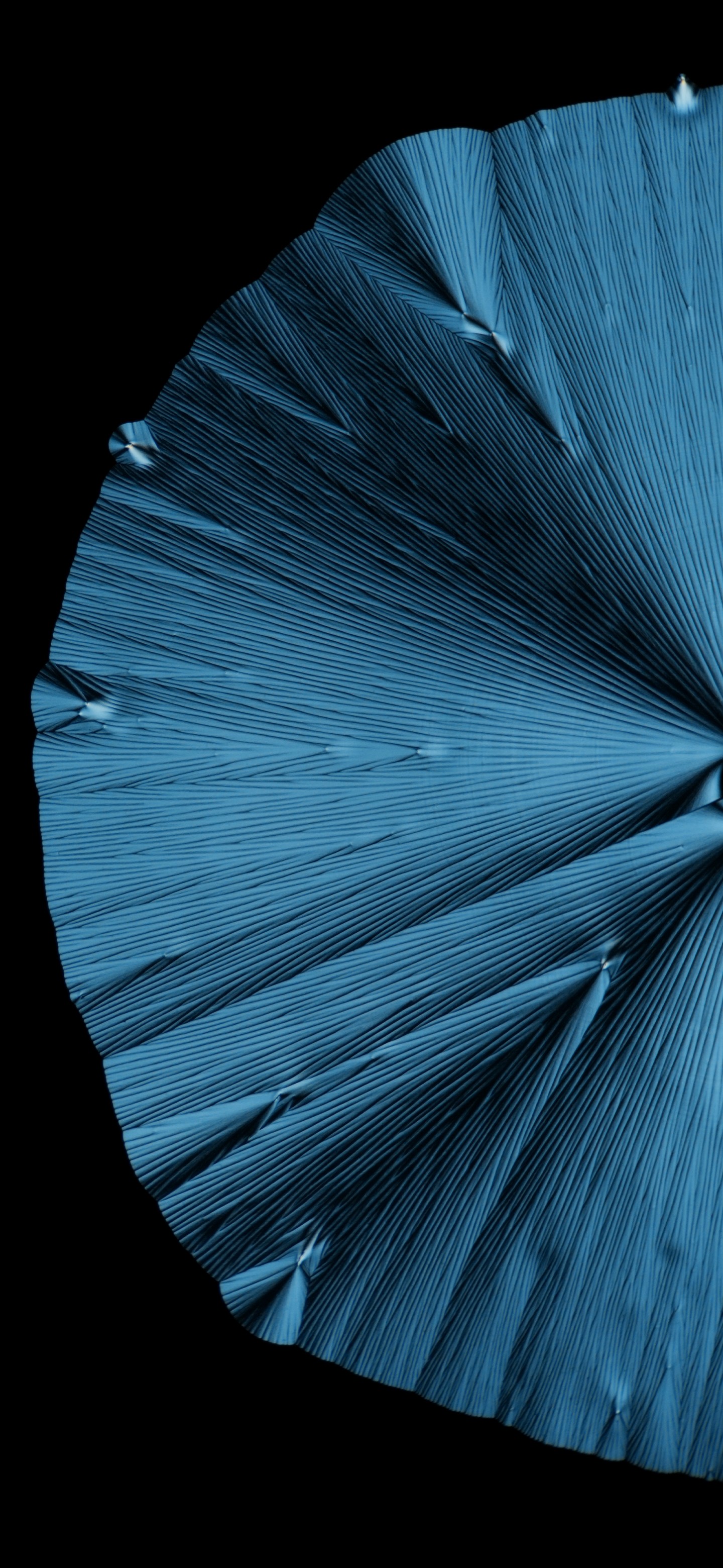 MIUI 13 HD wallpaper