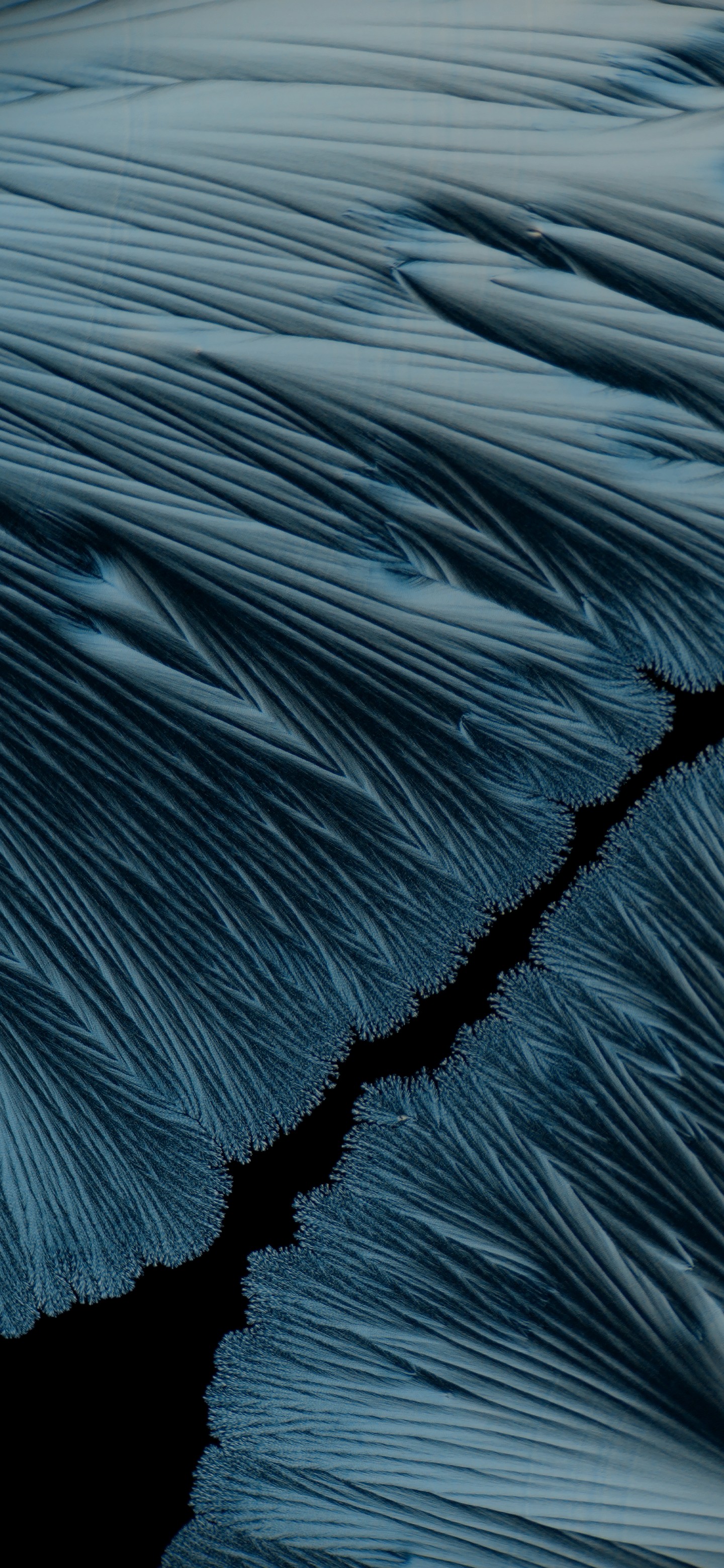 MIUI 13 HD wallpaper