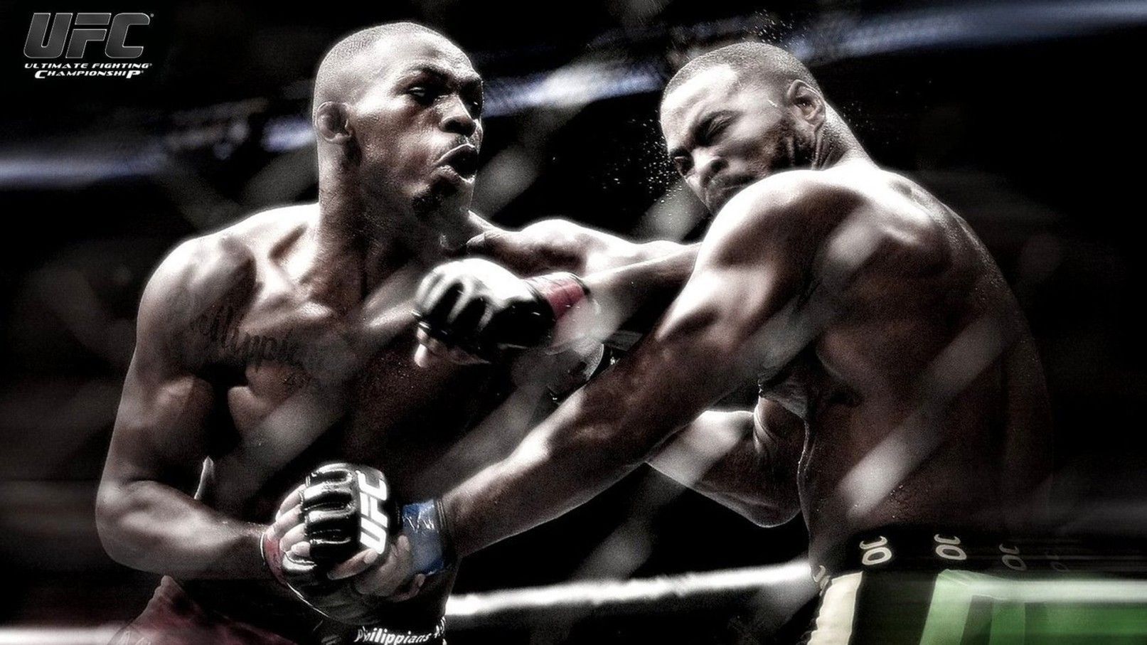 UFC Fight Wallpaper, HD UFC Fight Background on WallpaperBat