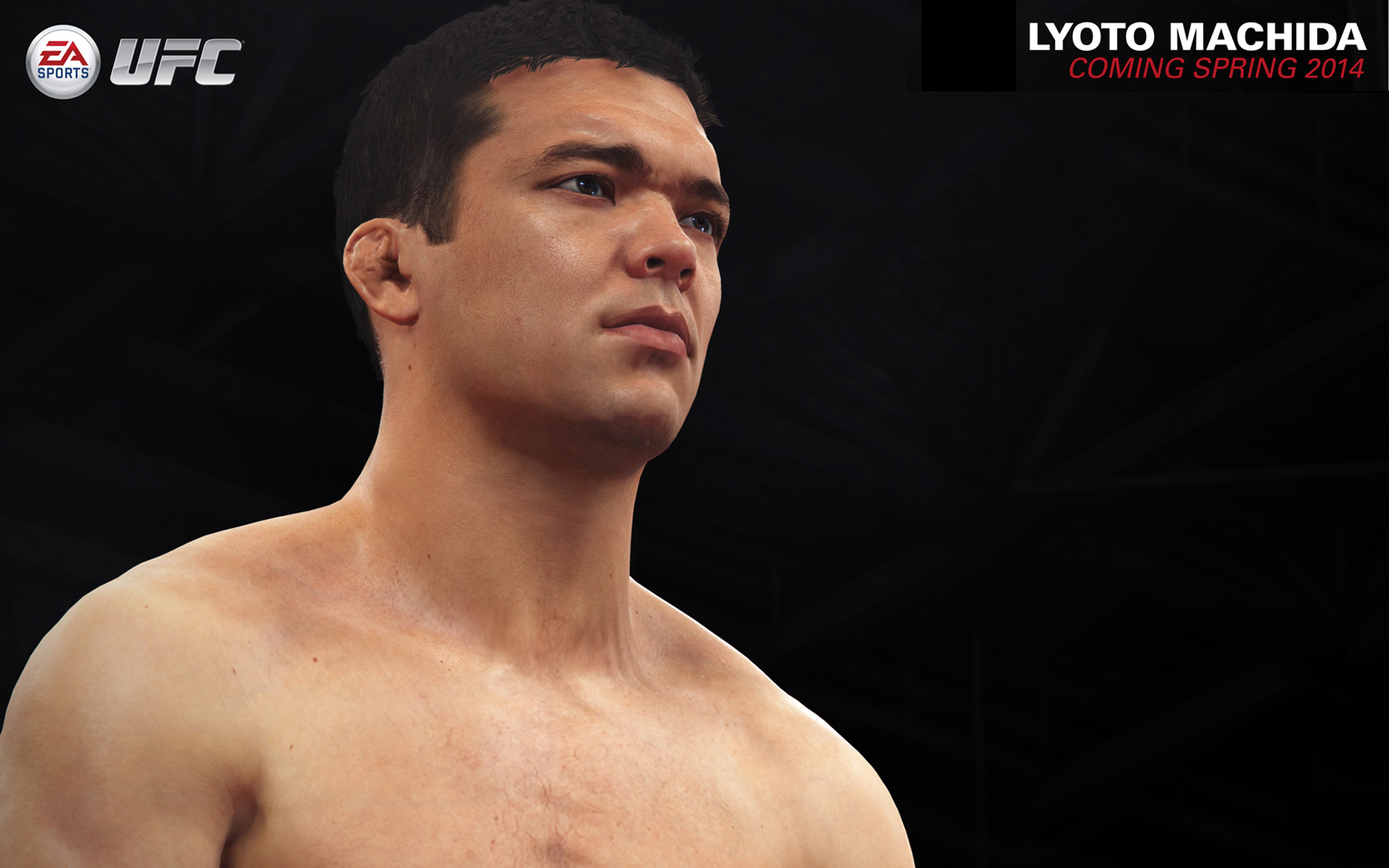 Free EA Sports UFC Wallpaper in 1920x1200