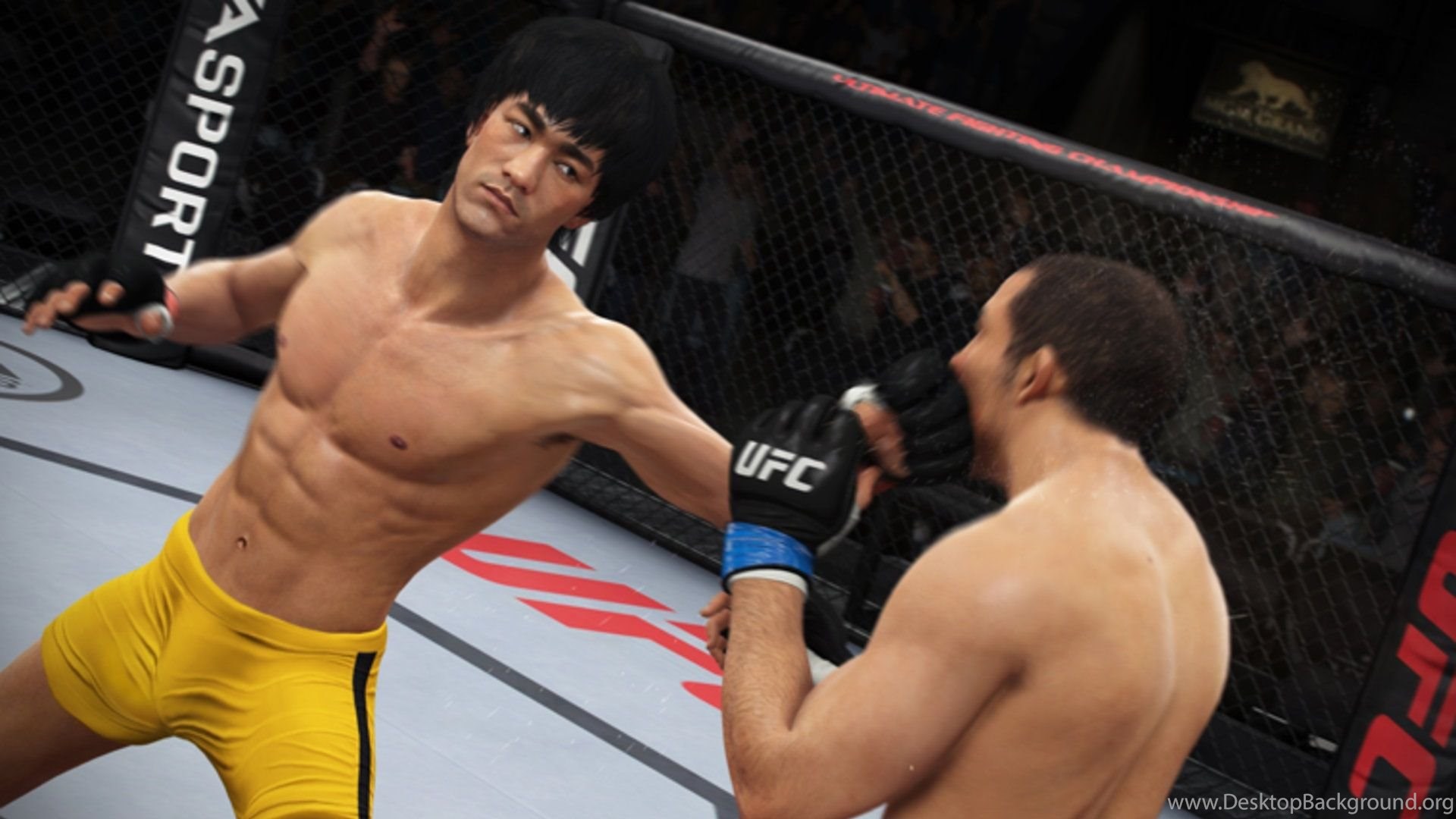 Bruce Lee In UFC Game Desktop Wallpaper Desktop Background