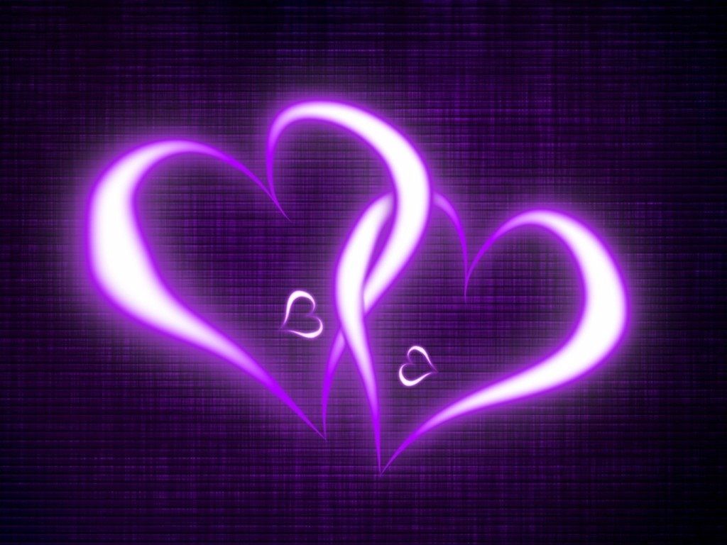 Beautiful Violet Color Wallpaper