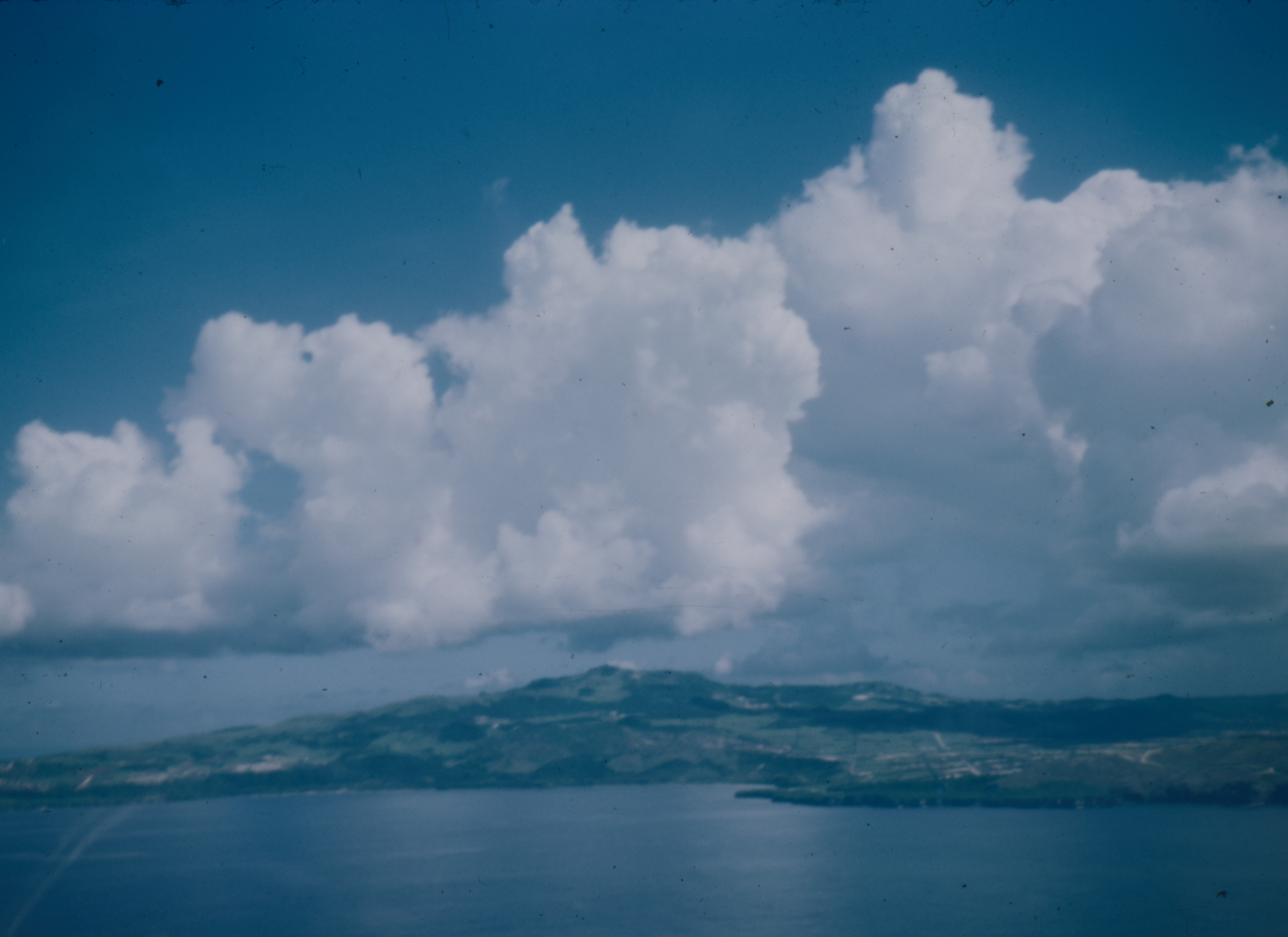 The Digital Collections of the National WWII Museum, Oral Histories