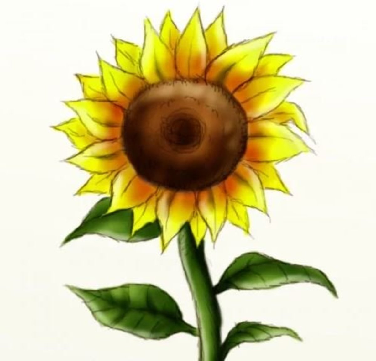 How to Draw a Sunflower.