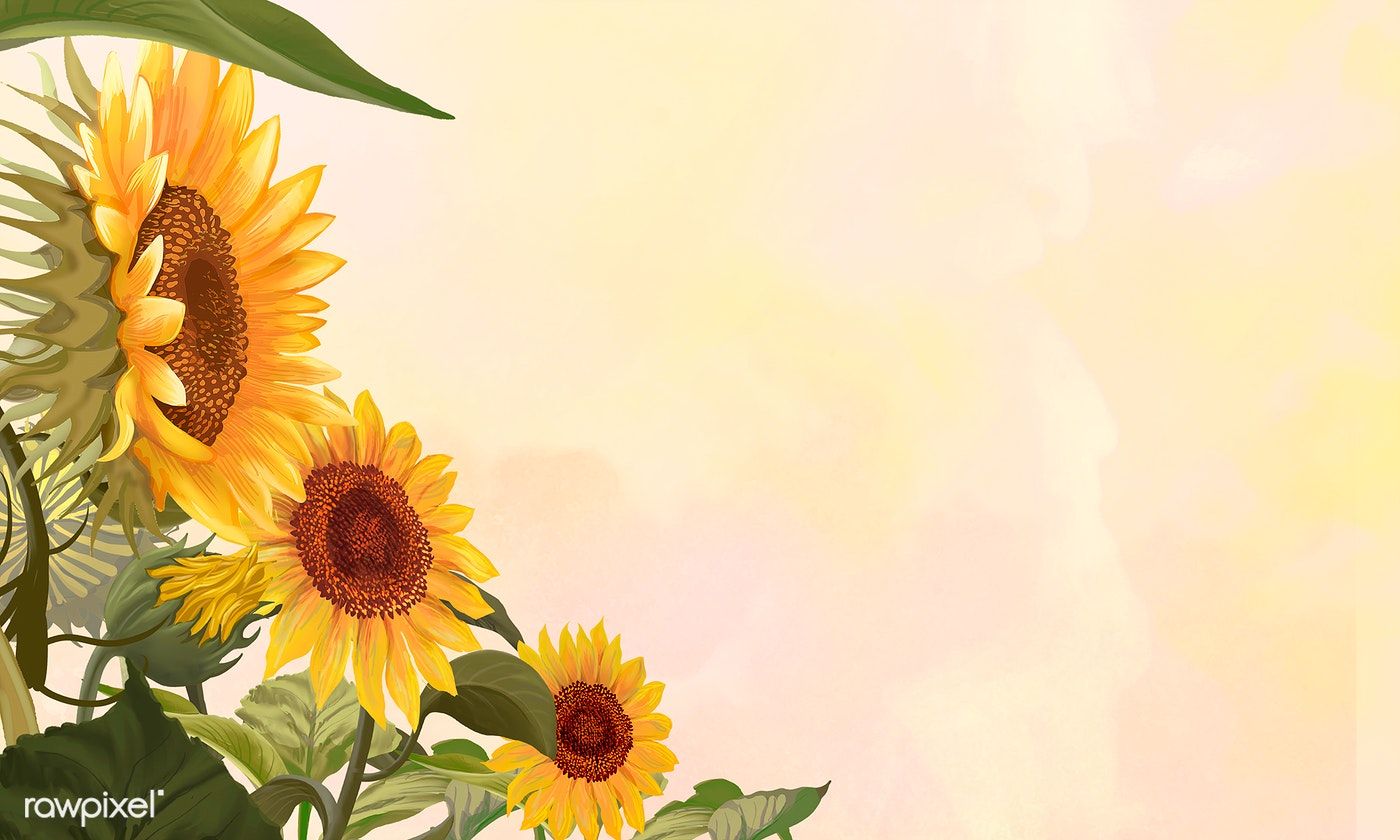 Hand drawn sunflowers on a yellow background illustration. premium image. Sunflower drawing, Blooming sunflower, Sunflower art