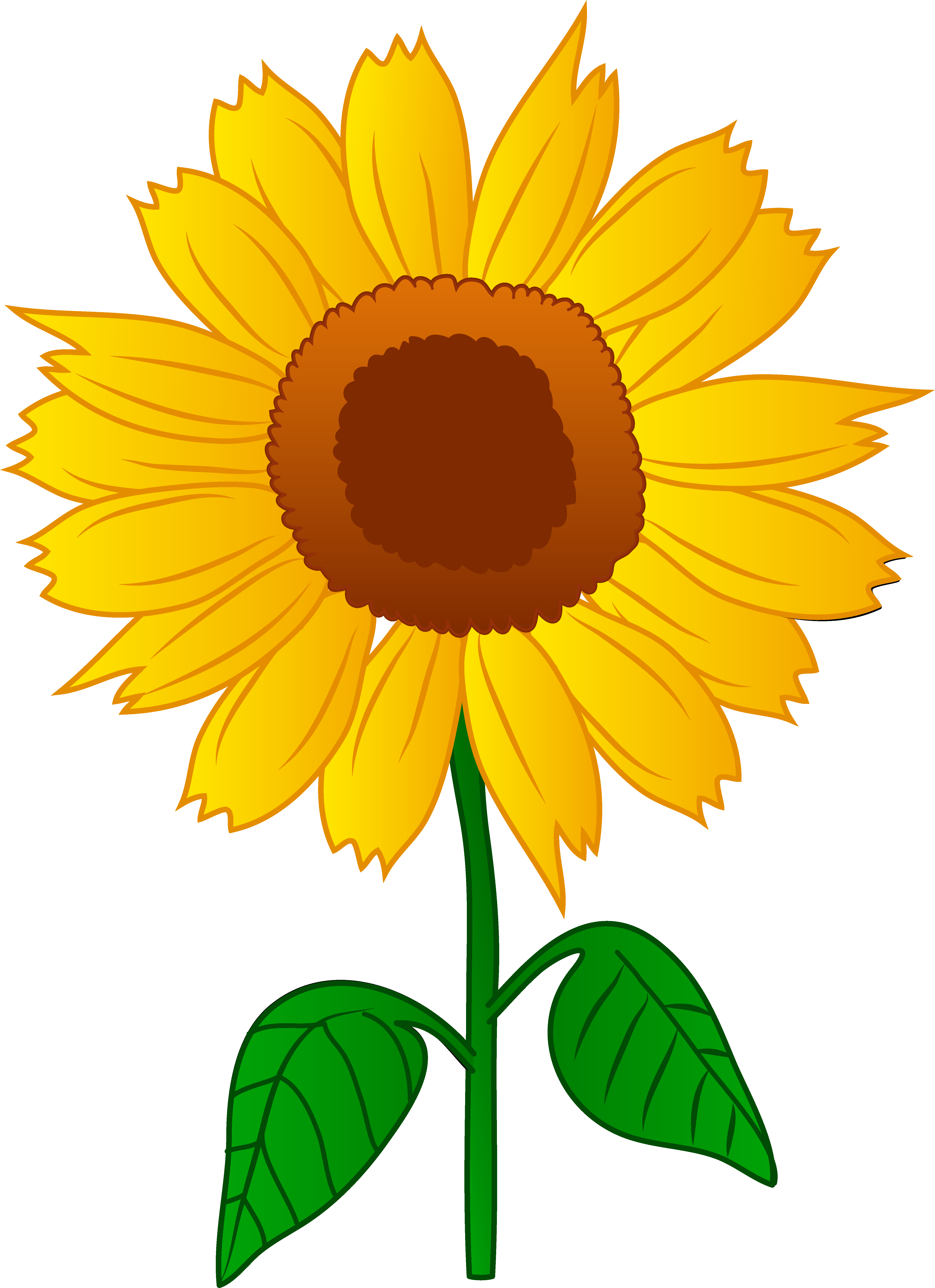 Best Sunflower Clipart