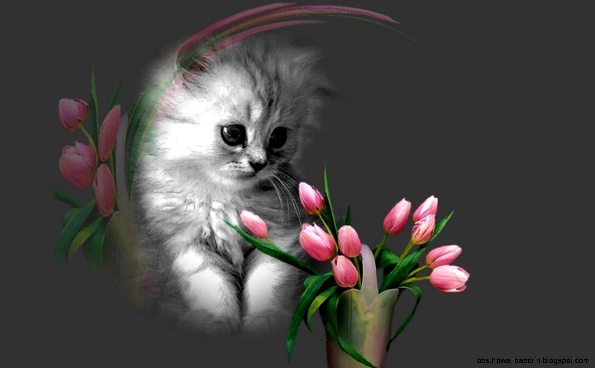 Flowers and Kittens Wallpaper, HD Flowers and Kittens Background on WallpaperBat