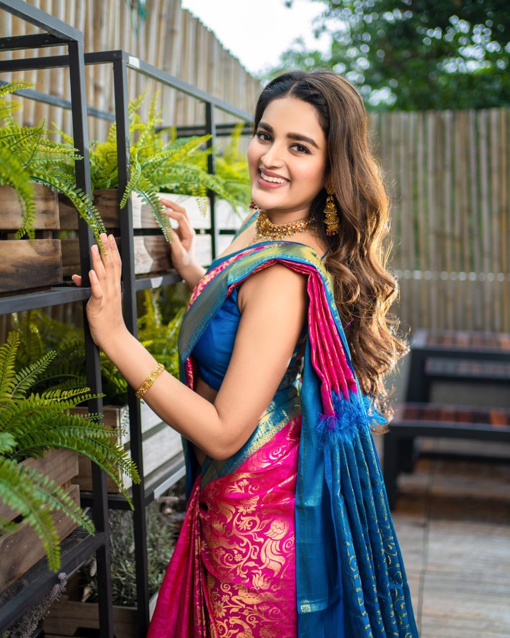 Nidhi Agarwal Beautifull Photo in Saree HD