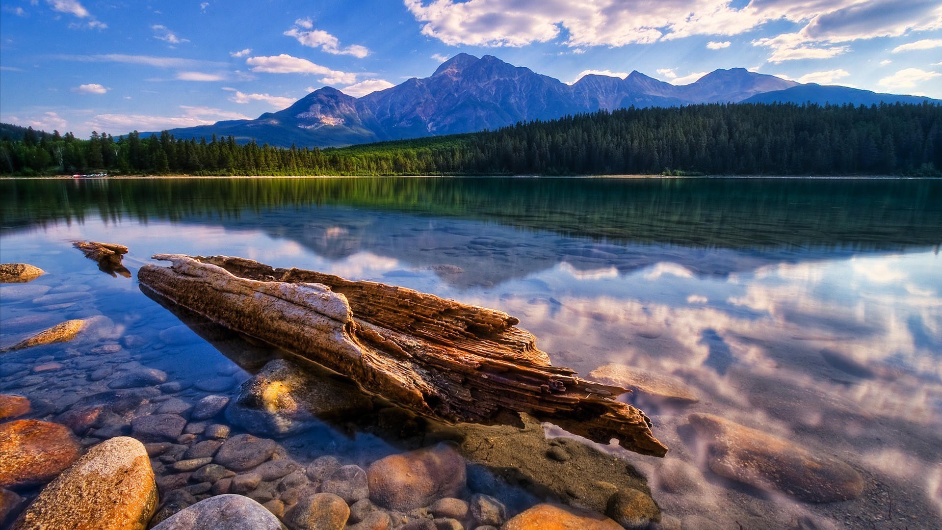 Relaxing HD Wallpaper Lake Calm Transparent Water Dry Wood Stone Pine Forest, Mountains, Sky, Wallpaper13.com
