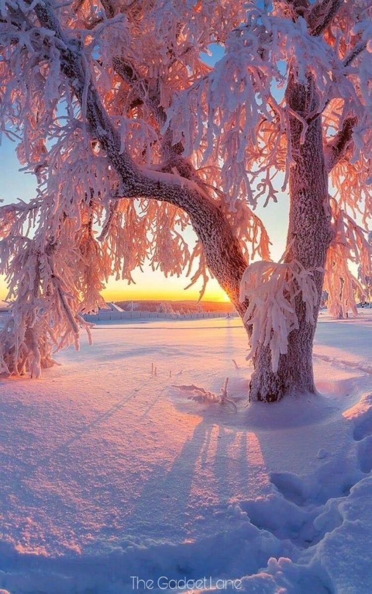 Nature. Wallpaper. iPhone. Android. Winter scenery, Winter picture, Winter scenes