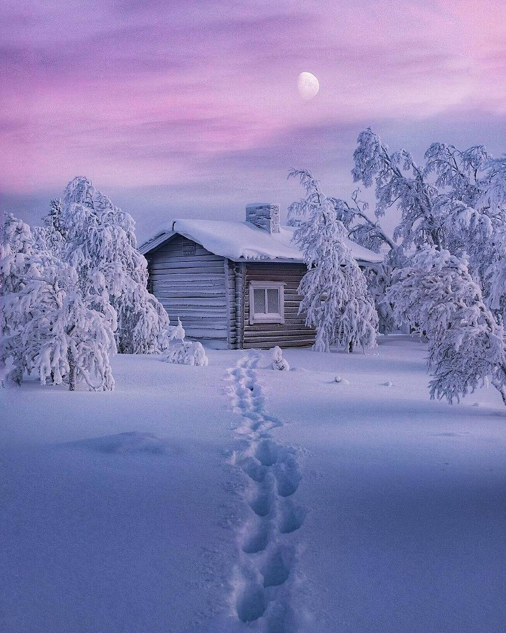 hd nature wallpaper for android, snow, winter, nature, home, freezing, sky, frost, natural landscape, tree, house