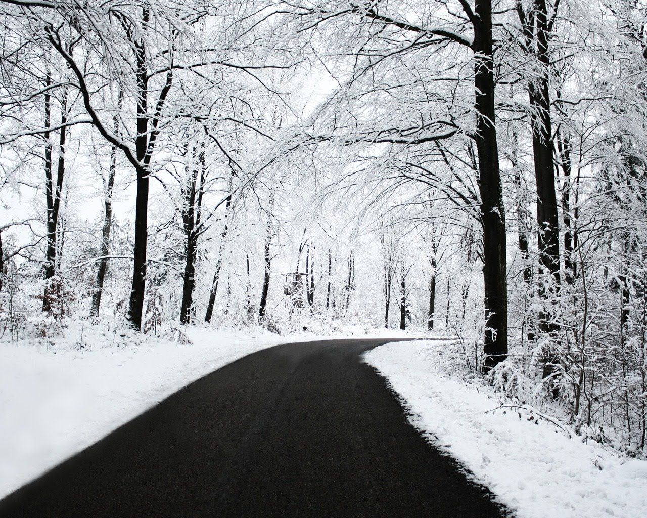 Snow Road Wallpaper