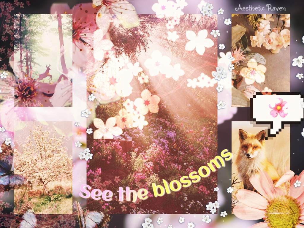 See The Blossoms. Spring Moodboard and Poem. símply aesthetíc Amino