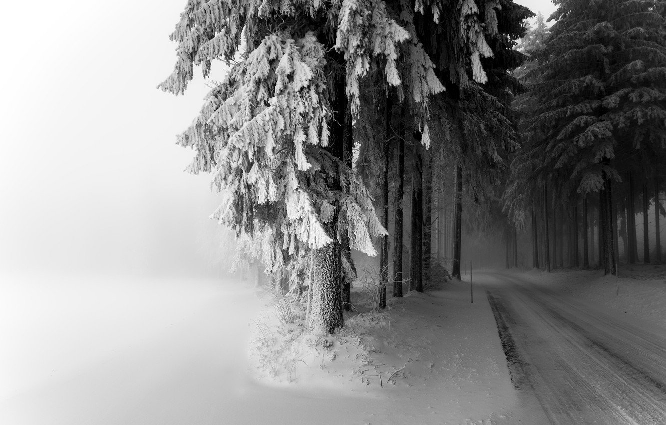 Wallpaper winter, road, snow, fog image for desktop, section природа