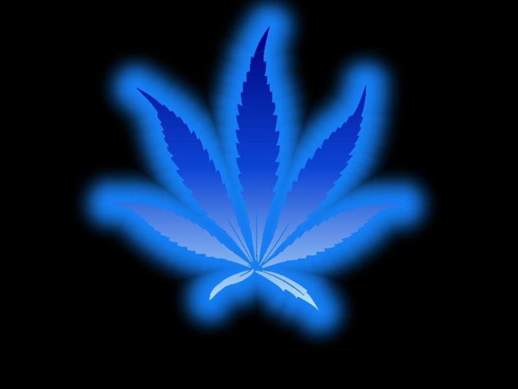 Blue Weed Wallpaper Free Blue Weed Background