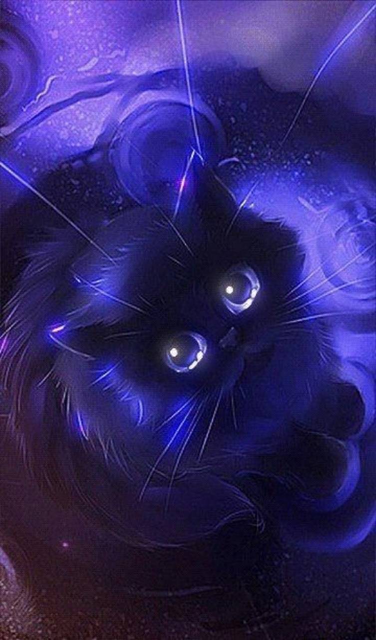 Purple Cats Wallpapers - Wallpaper Cave