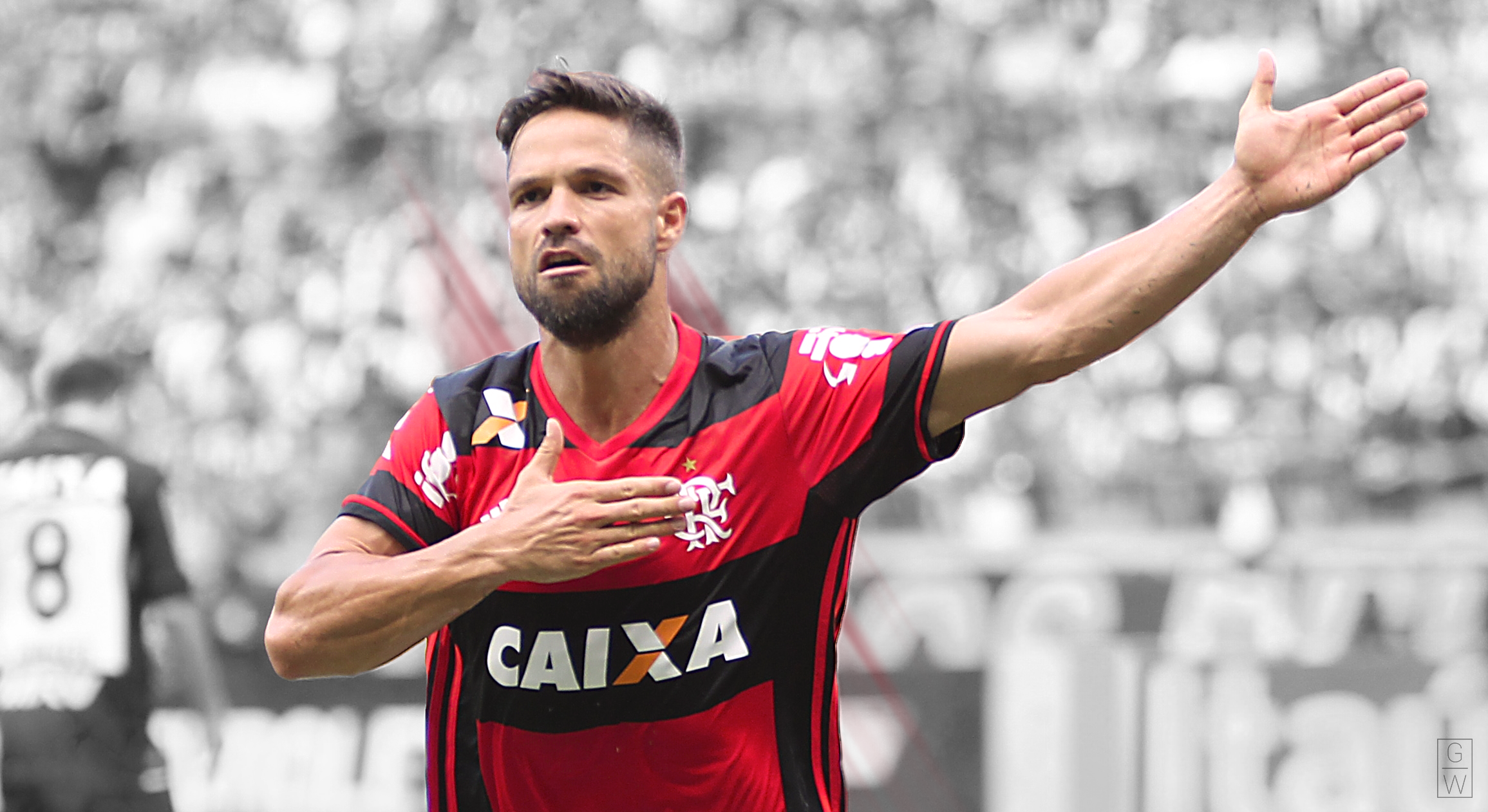 Diego Ribas Flamengo