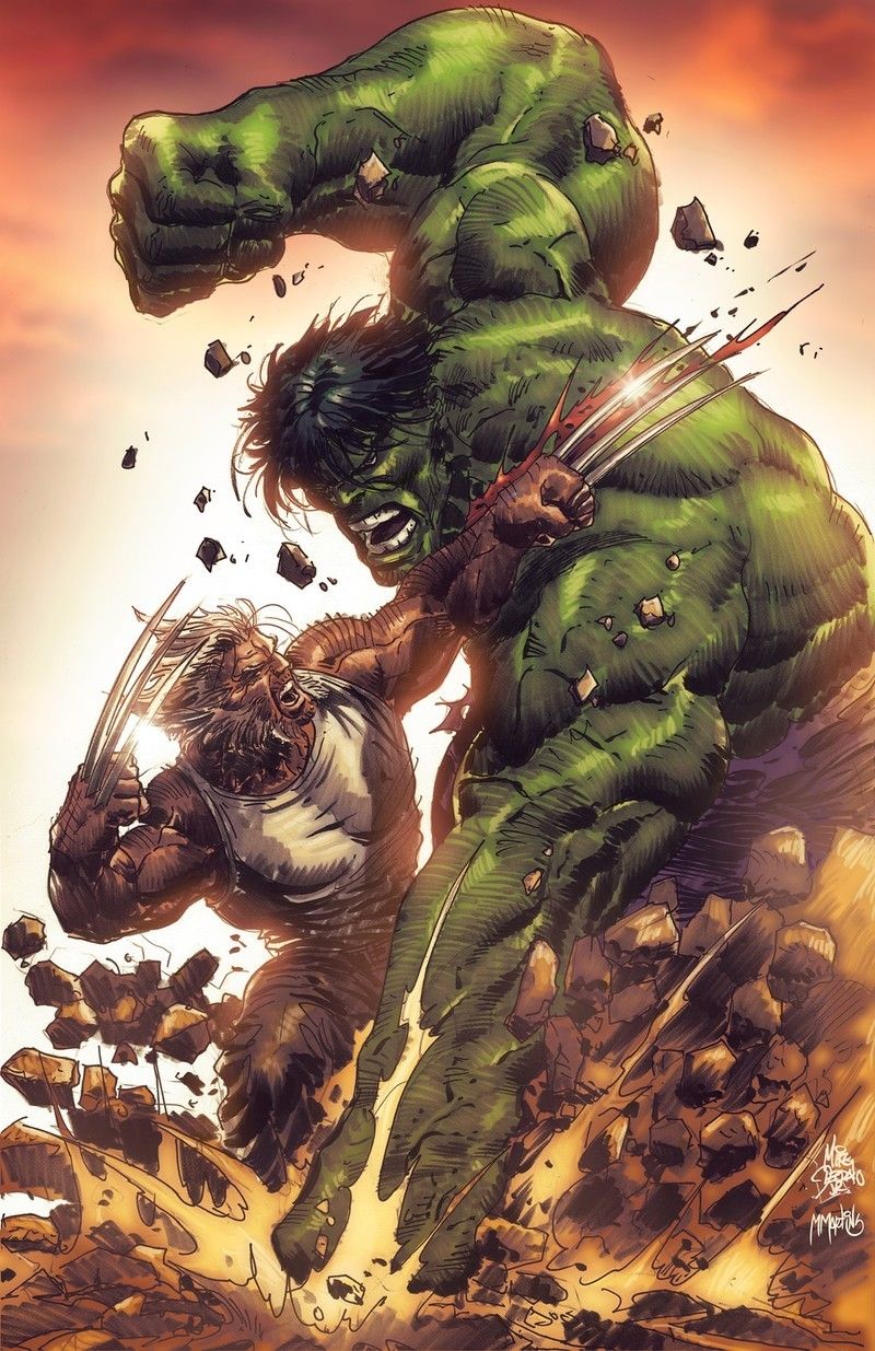 Wolverine vs Hulk illustrated by: Mike Deodato. Hulk marvel, Hulk art, Wolverine art
