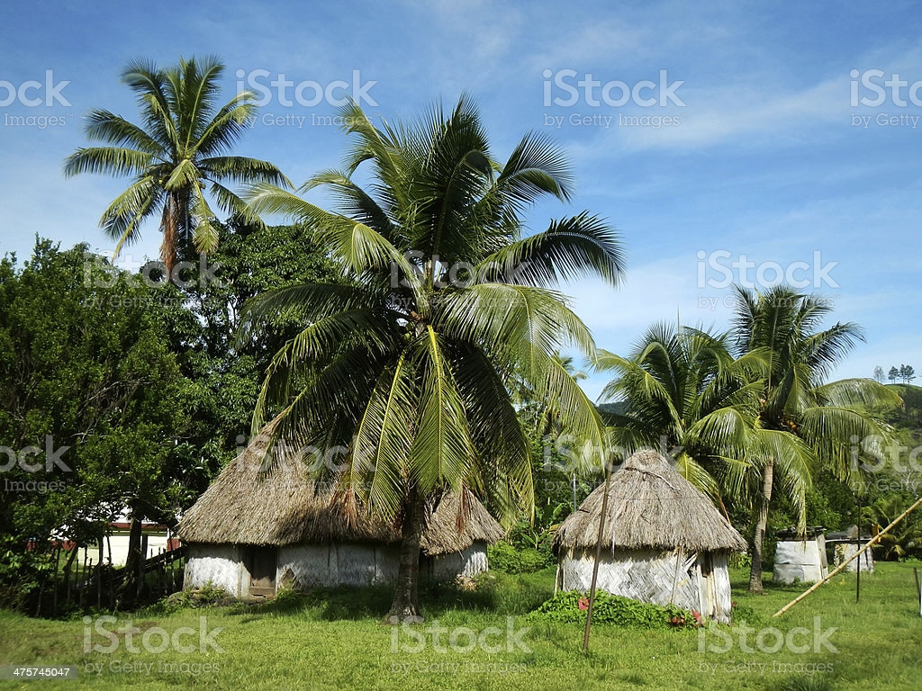 Traditional Houses Of Navala Village Viti Levu Fiji Image Now