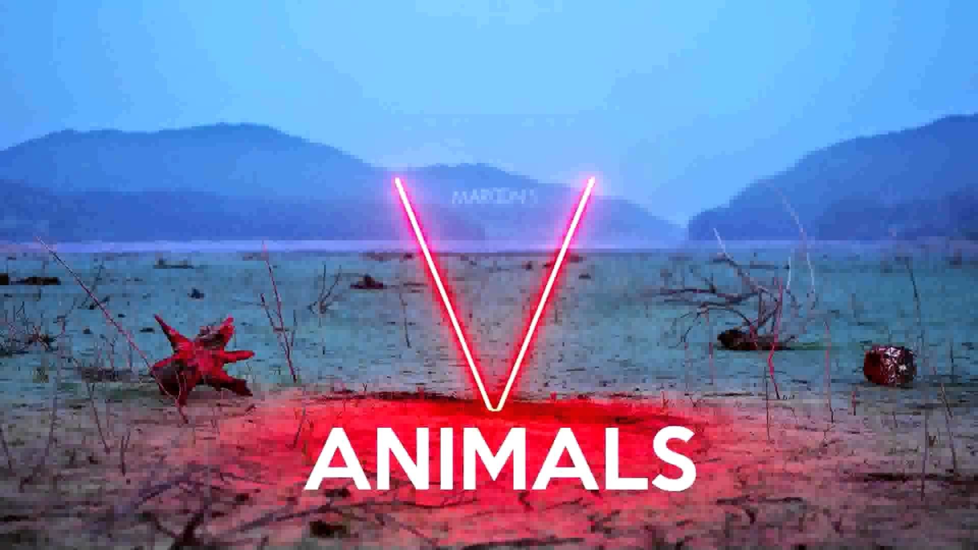Maroon 5 Animals Wallpapers - Wallpaper Cave