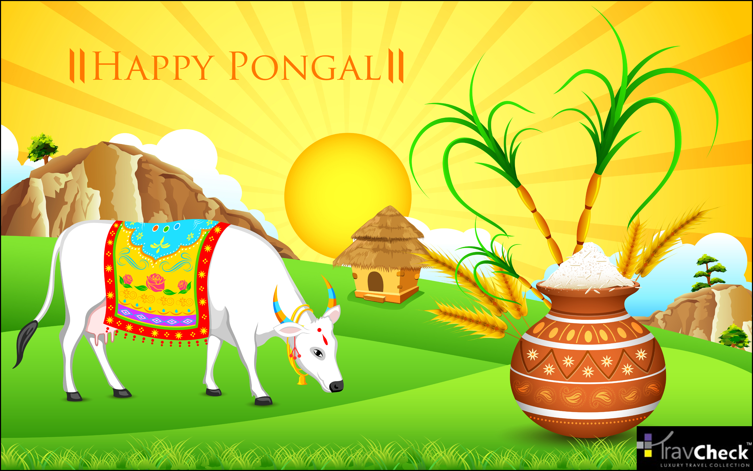 Travcheck Wishes You All ' Happy Pongal. Happy pongal, Happy pongal wishes, Makar sankranti image