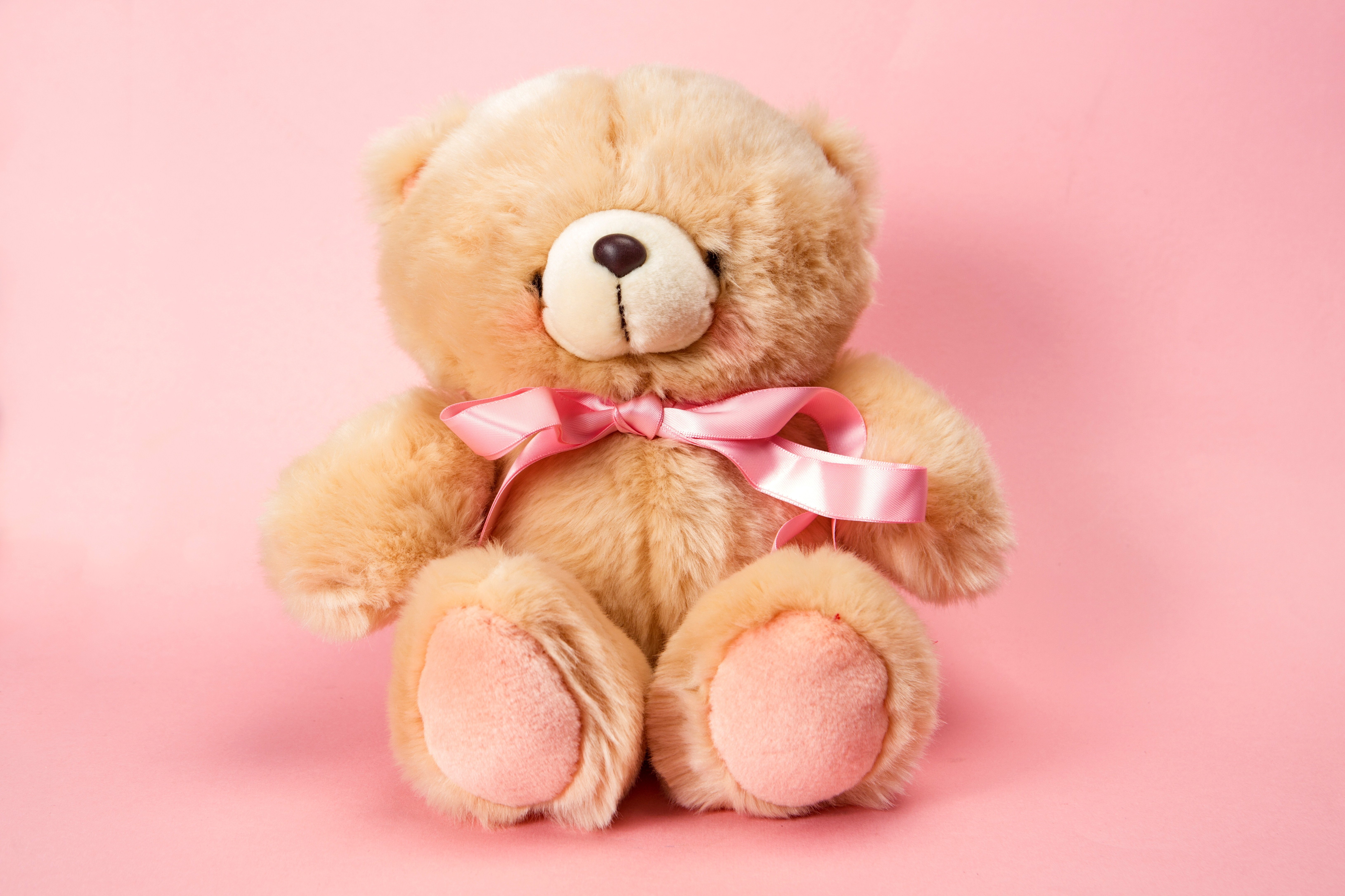 teddy, Bear, Pink, Cute, Toy Wallpaper HD / Desktop and Mobile Background