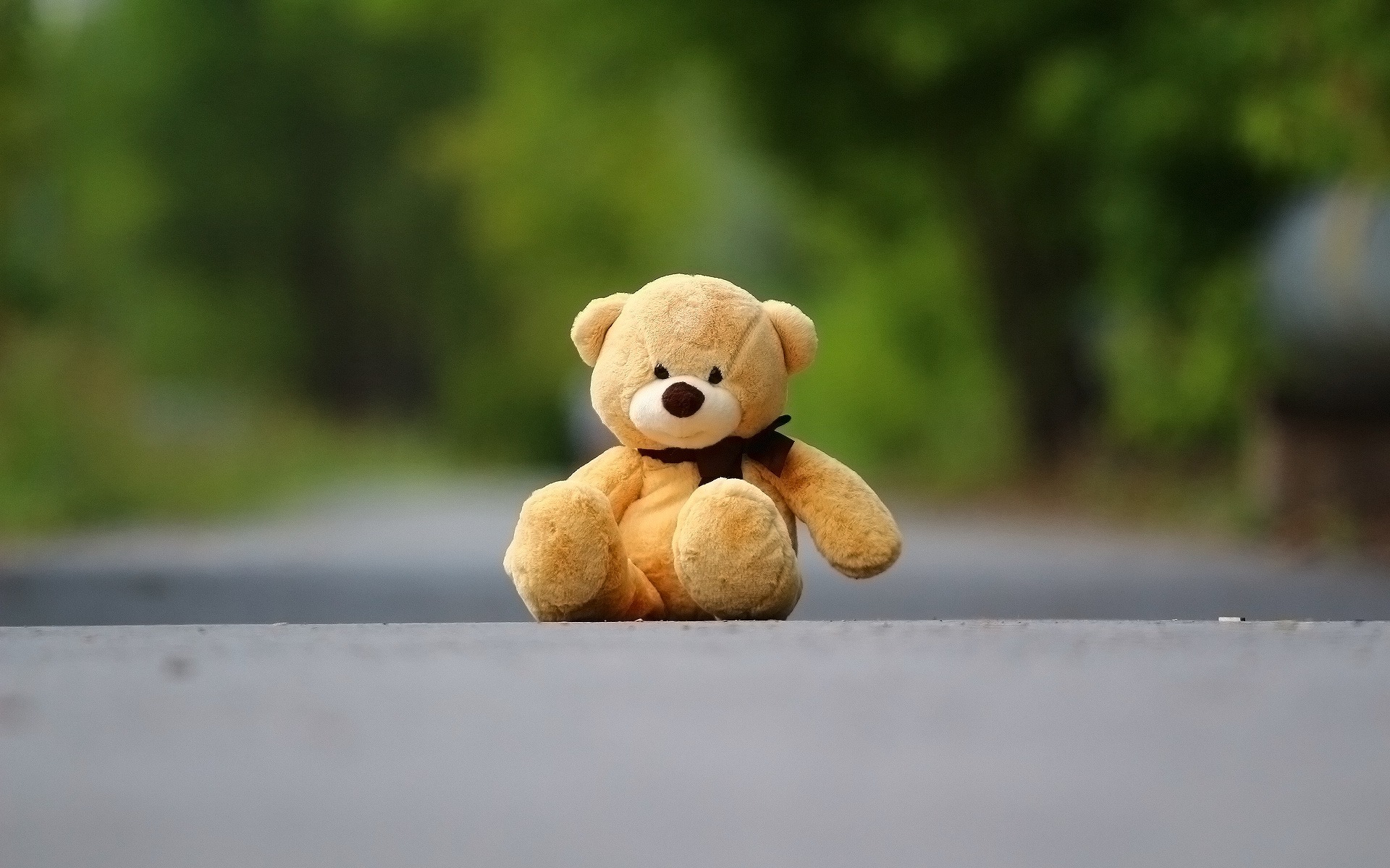Download wallpaper Teddy bear, road, cute toys, orange bear for desktop with resolution 1920x1200. High Quality HD picture wallpaper