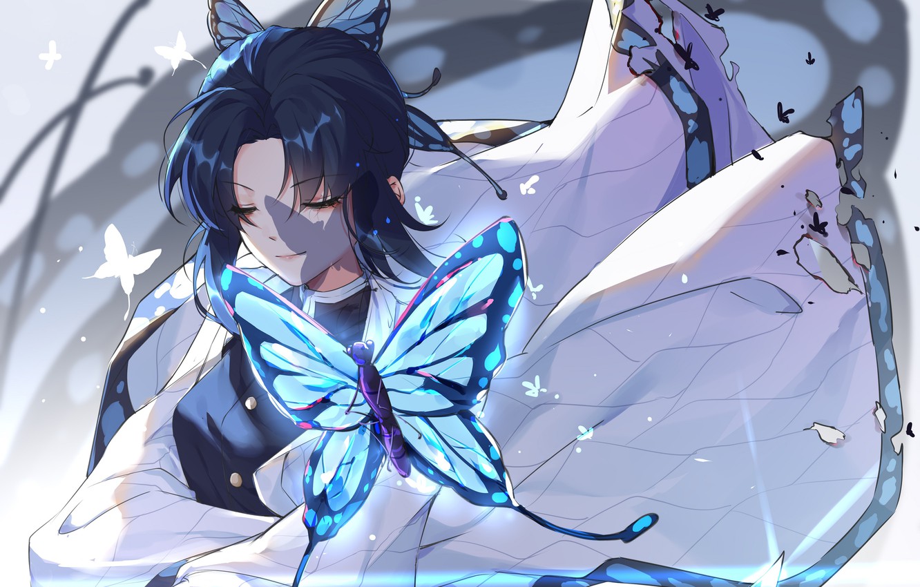 Wallpaper girl, butterfly, Demon Slayer Kimetsu no Yaiba, The Blade Cleaves Demons image for desktop, section сёнэн