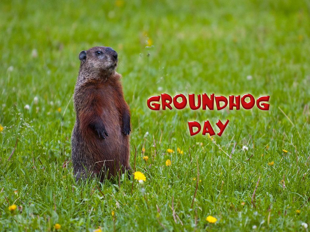 Happy Groundhog Day Wallpaper