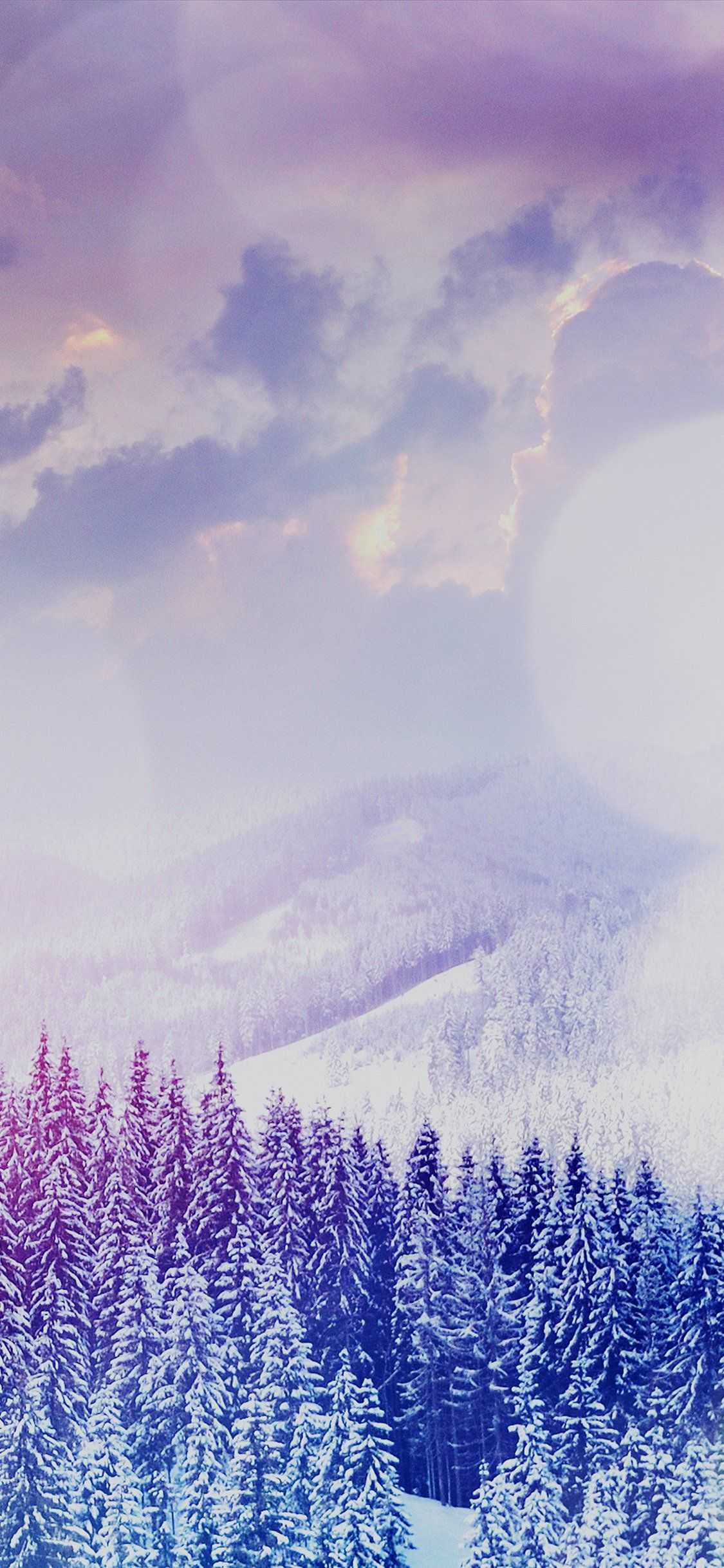 Snow Forest Wallpaper